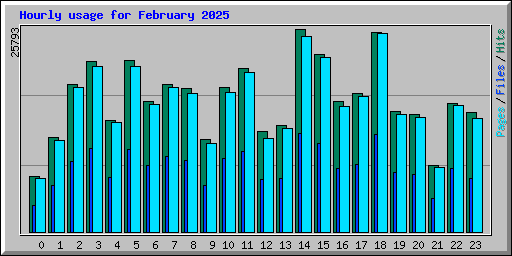 Hourly usage for February 2025