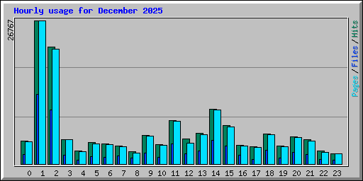 Hourly usage for December 2025